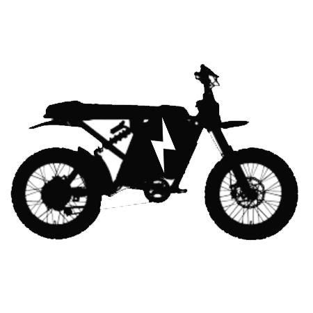 Custom E-Bike